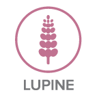 Lupine